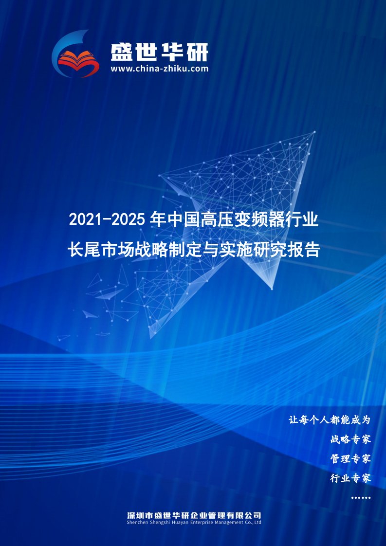 2021-2025年中国高压变频器行业长尾市场战略制定与实施研究报告