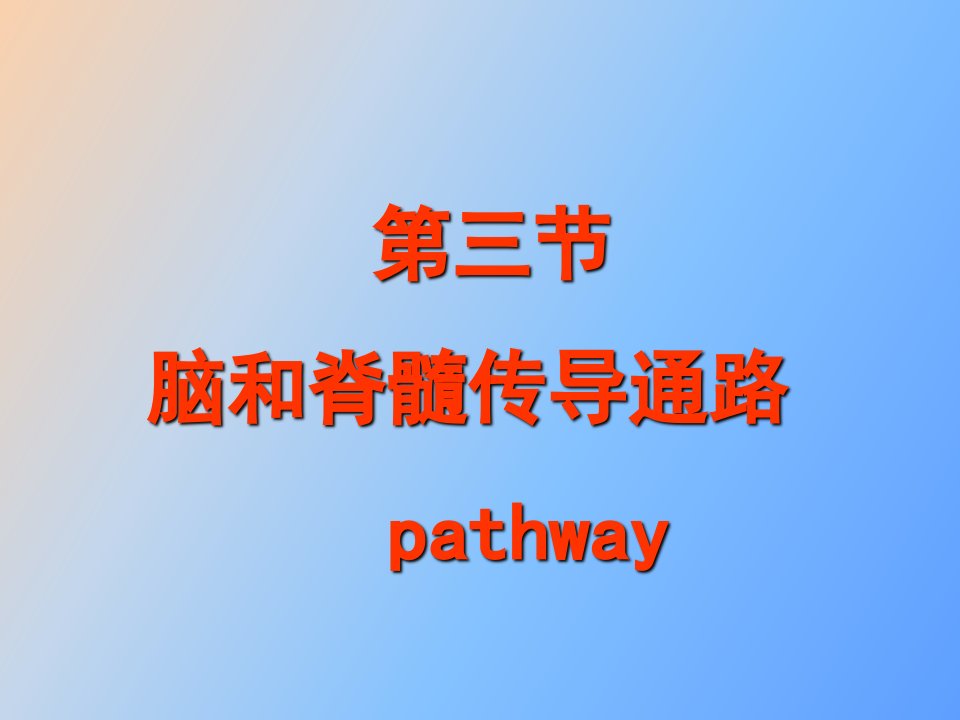 脑和脊髓传导通路