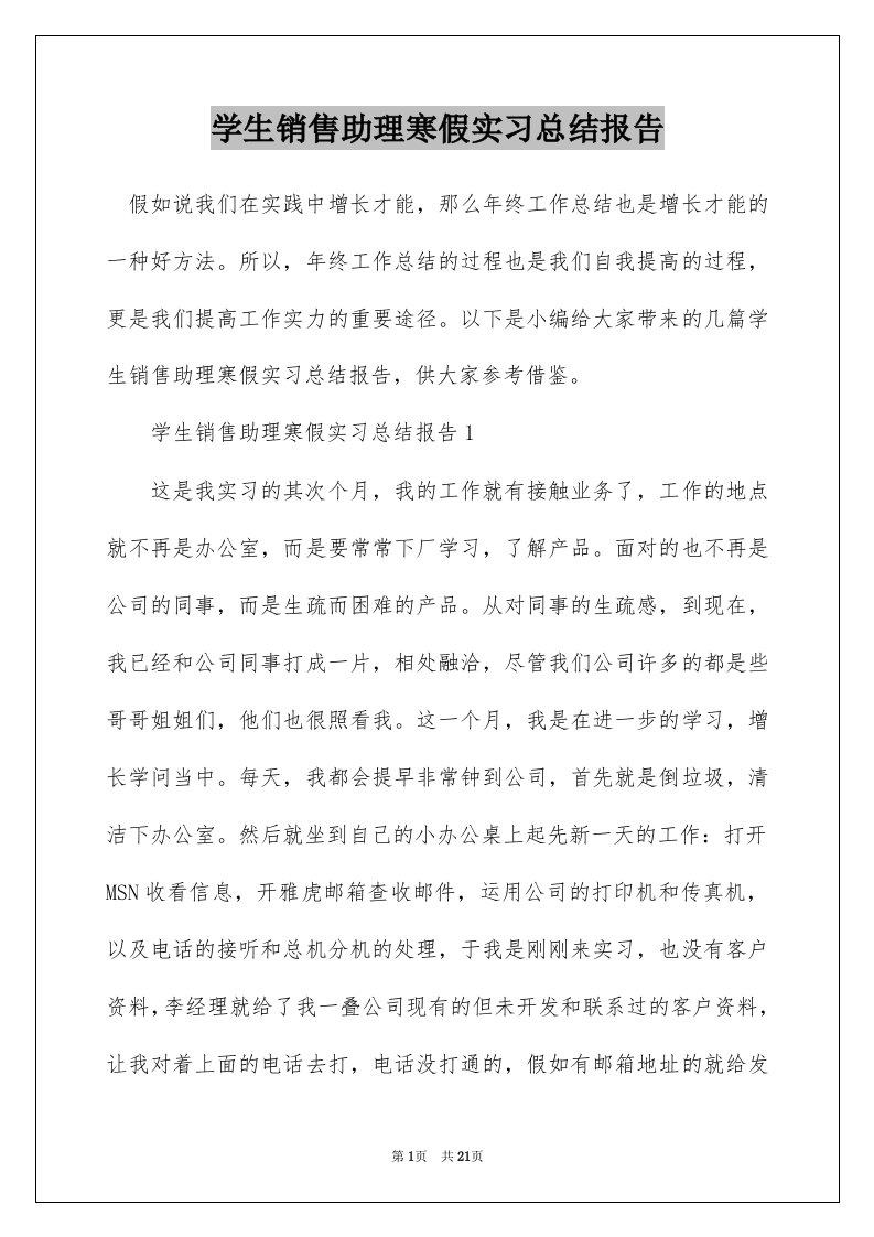 学生销售助理寒假实习总结报告