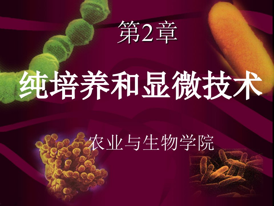 上海交通大学微生物课件第2章