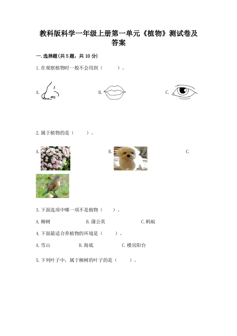 教科版科学一年级上册第一单元《植物》测试卷(预热题)word版