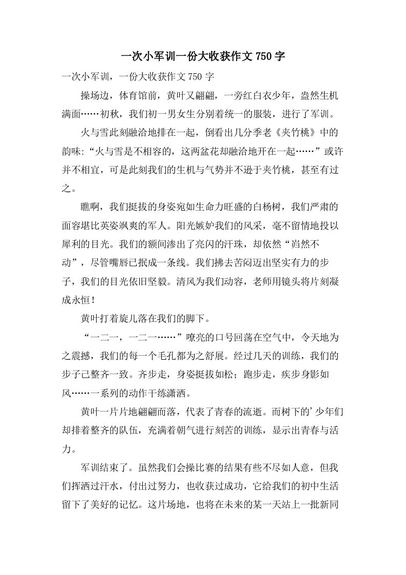 一次小军训一份大收获作文750字