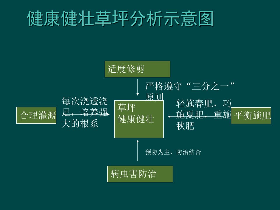 草坪养护管理培训PPT讲座