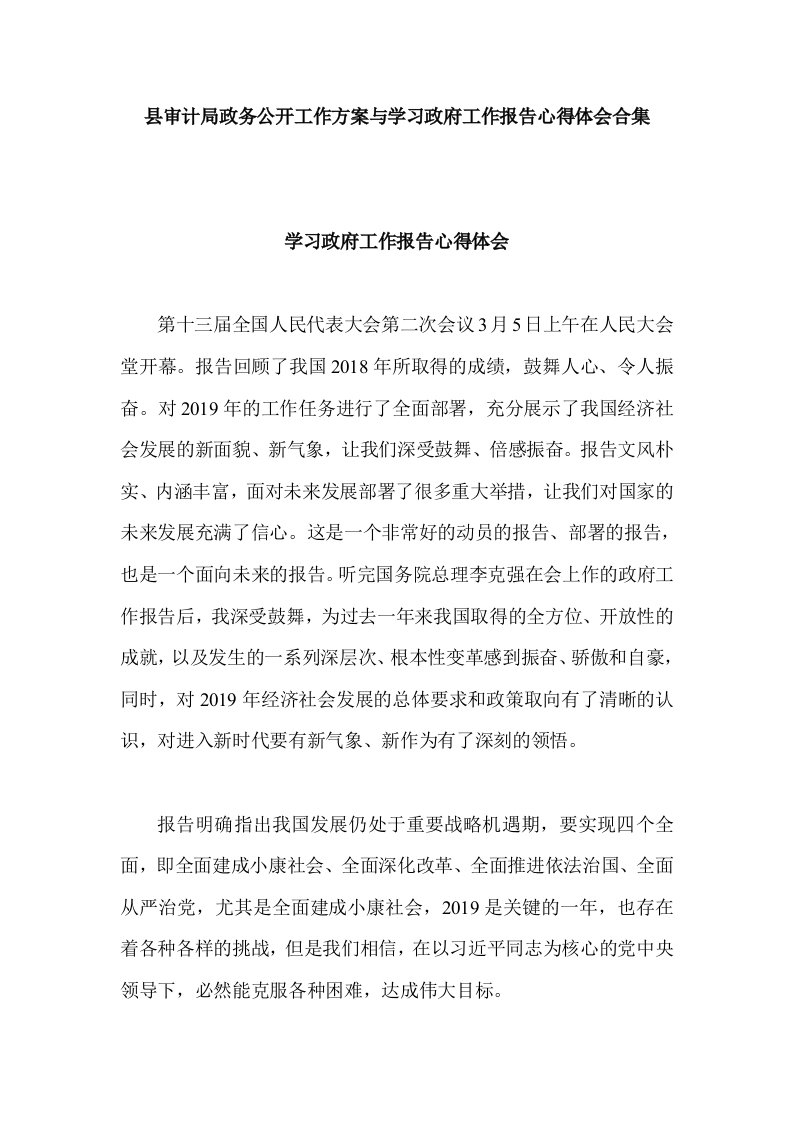 县审计局政务公开工作方案与学习政府工作报告心得体会合集