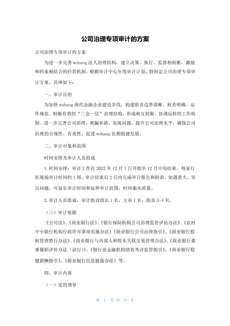 公司治理专项审计的方案