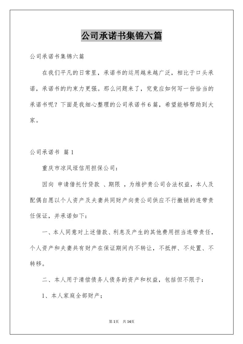 公司承诺书集锦六篇例文