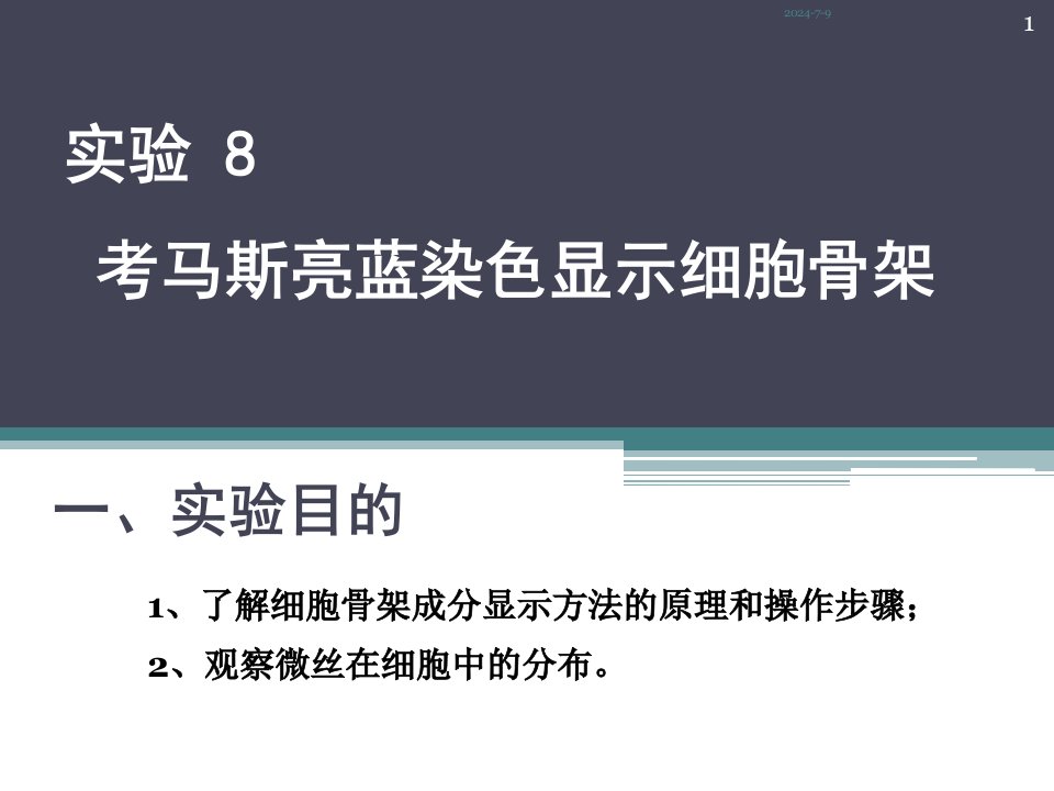 实验8考马斯亮蓝染色显示细胞骨架