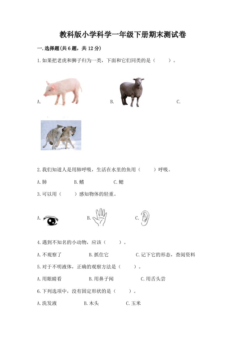 教科版小学科学一年级下册期末测试卷及完整答案【全优】