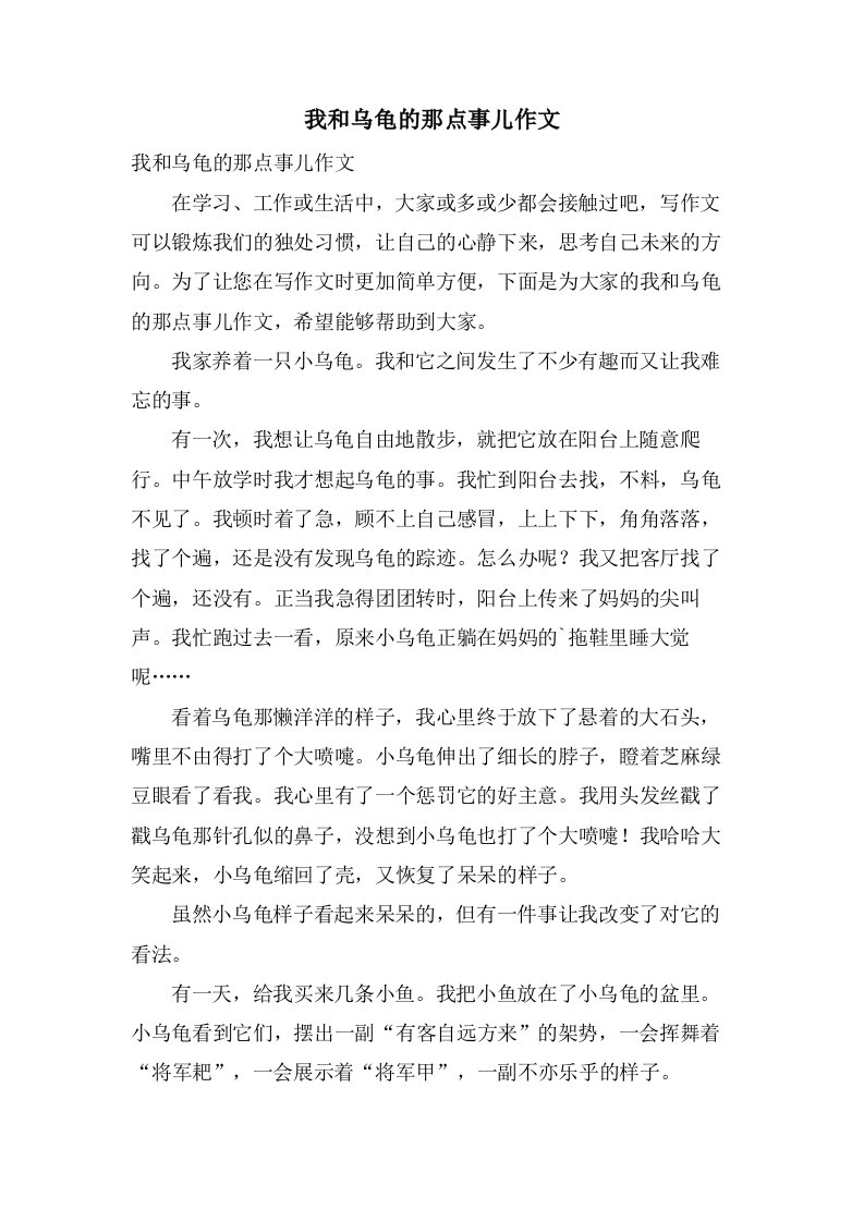 我和乌龟的那点事儿作文