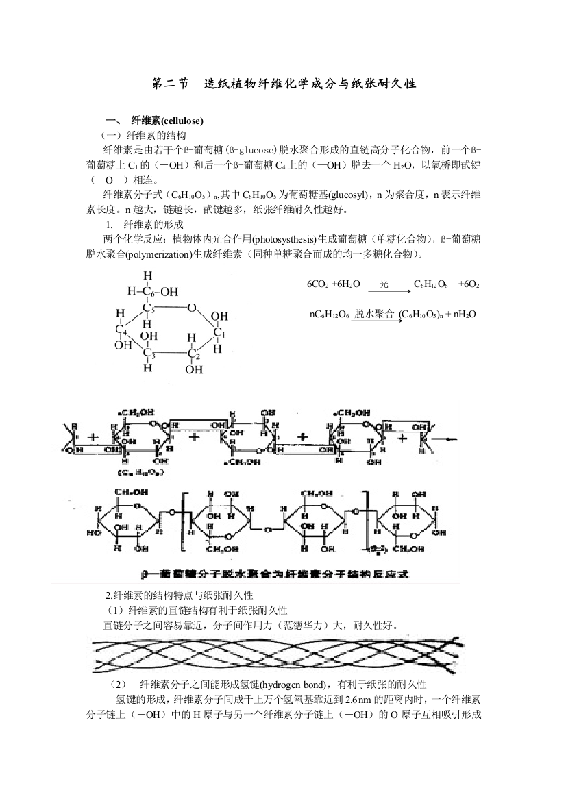 造纸植物纤维化学成分与纸张耐久性