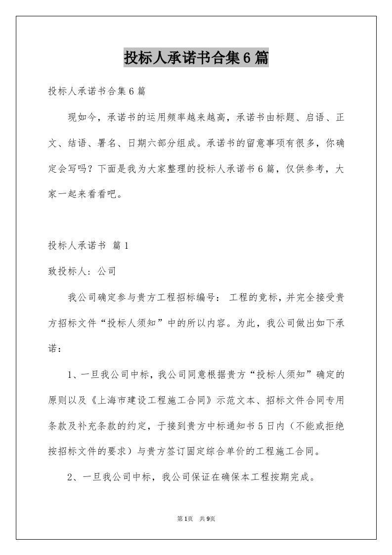 投标人承诺书合集6篇