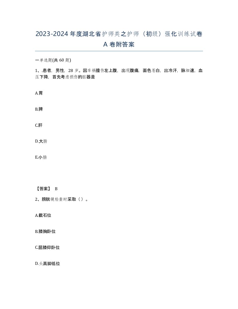 2023-2024年度湖北省护师类之护师初级强化训练试卷A卷附答案