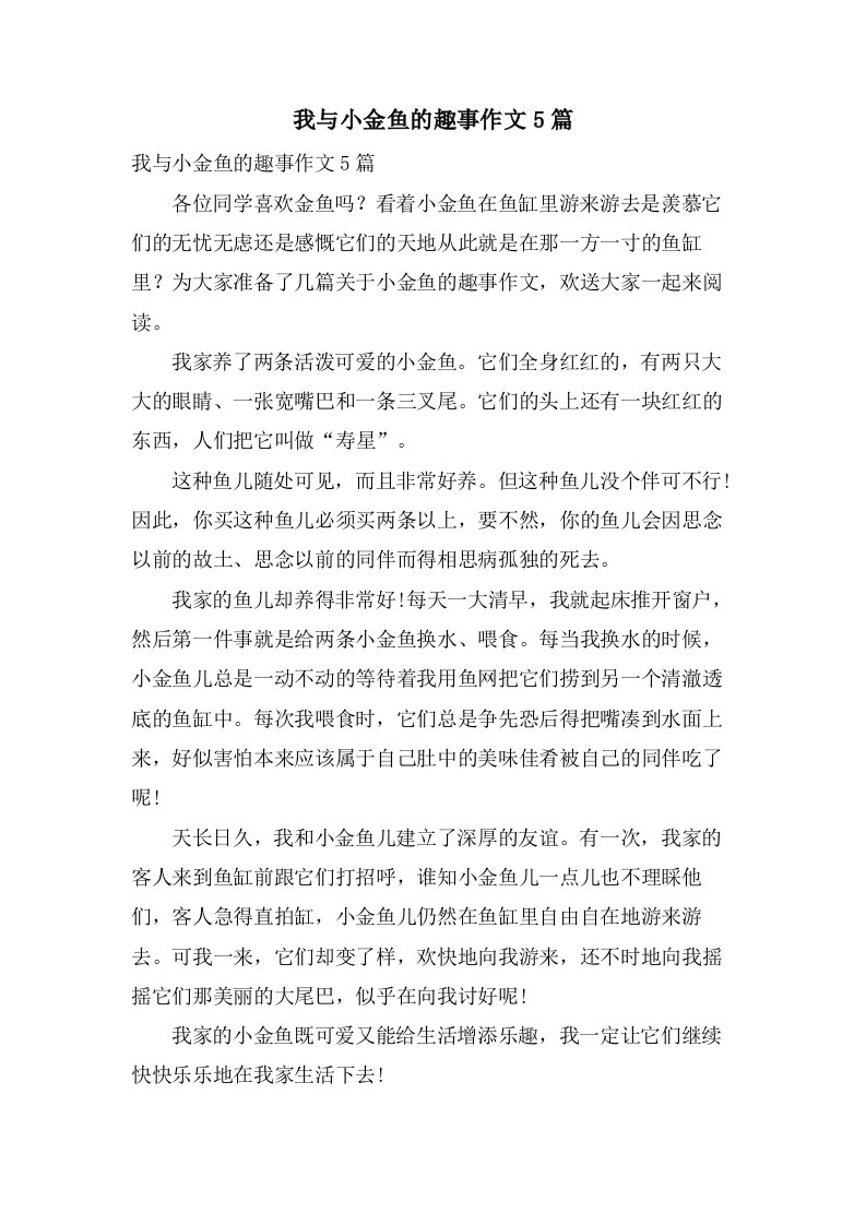 我与小金鱼的趣事作文5篇