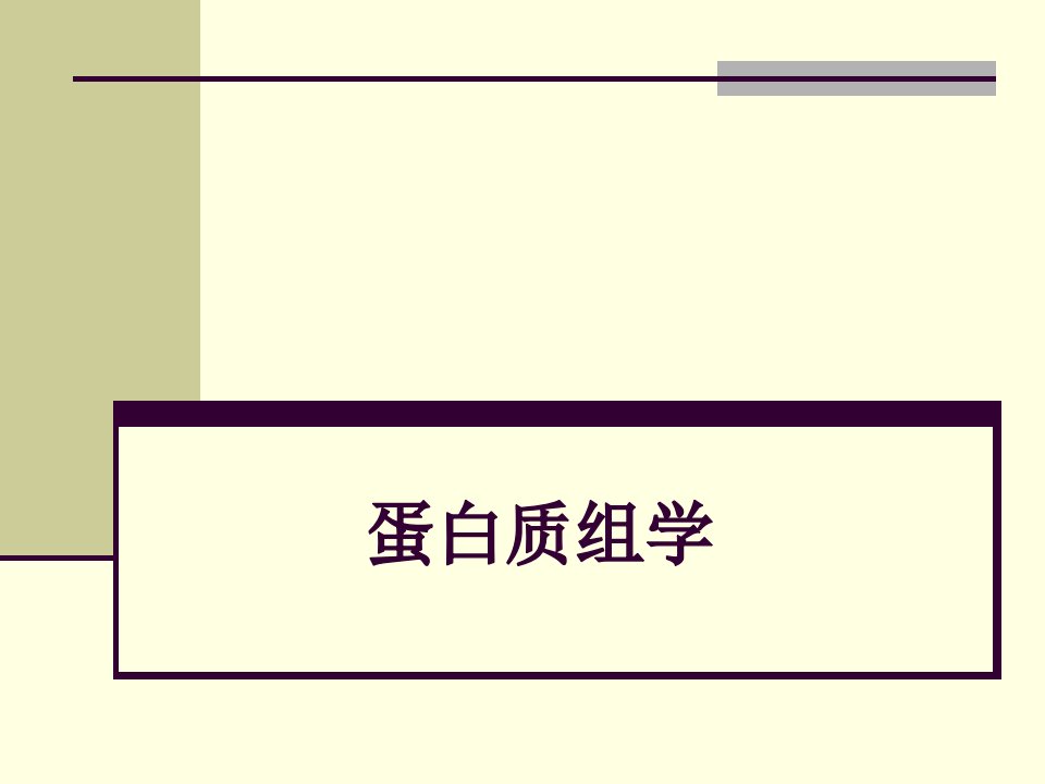 蛋白质组学ppt