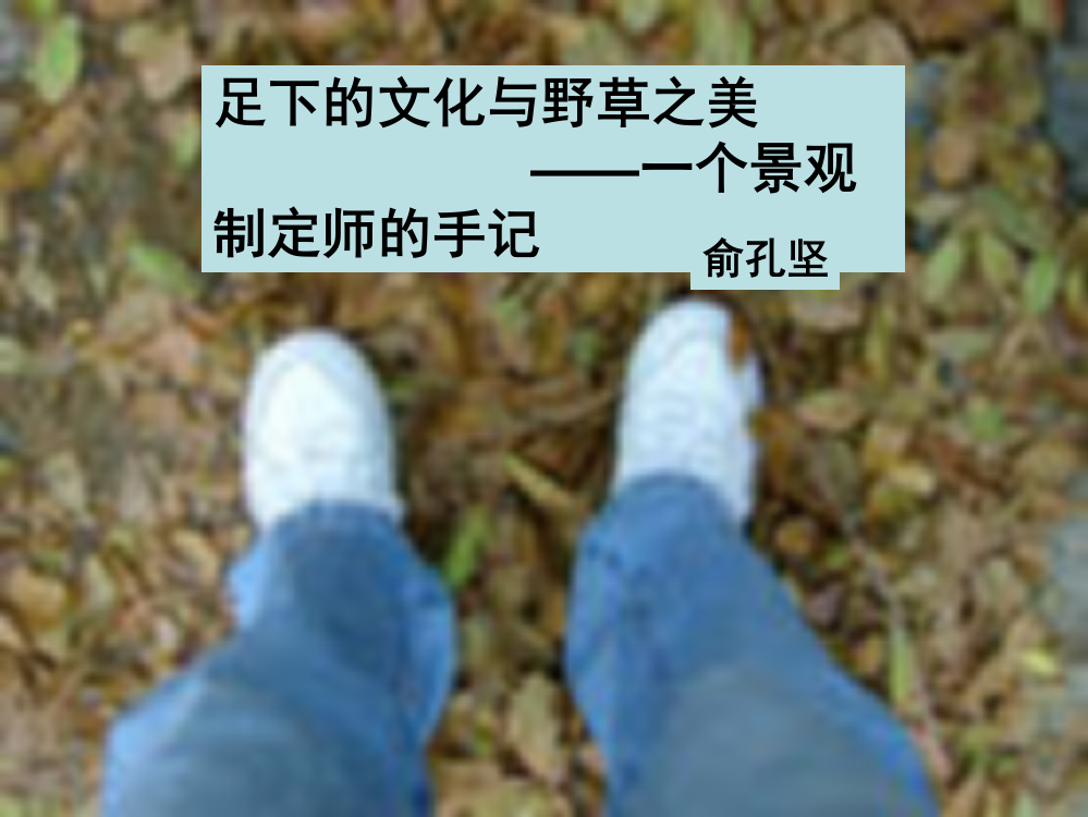 《足下的文化与野草之美》ppt课件3