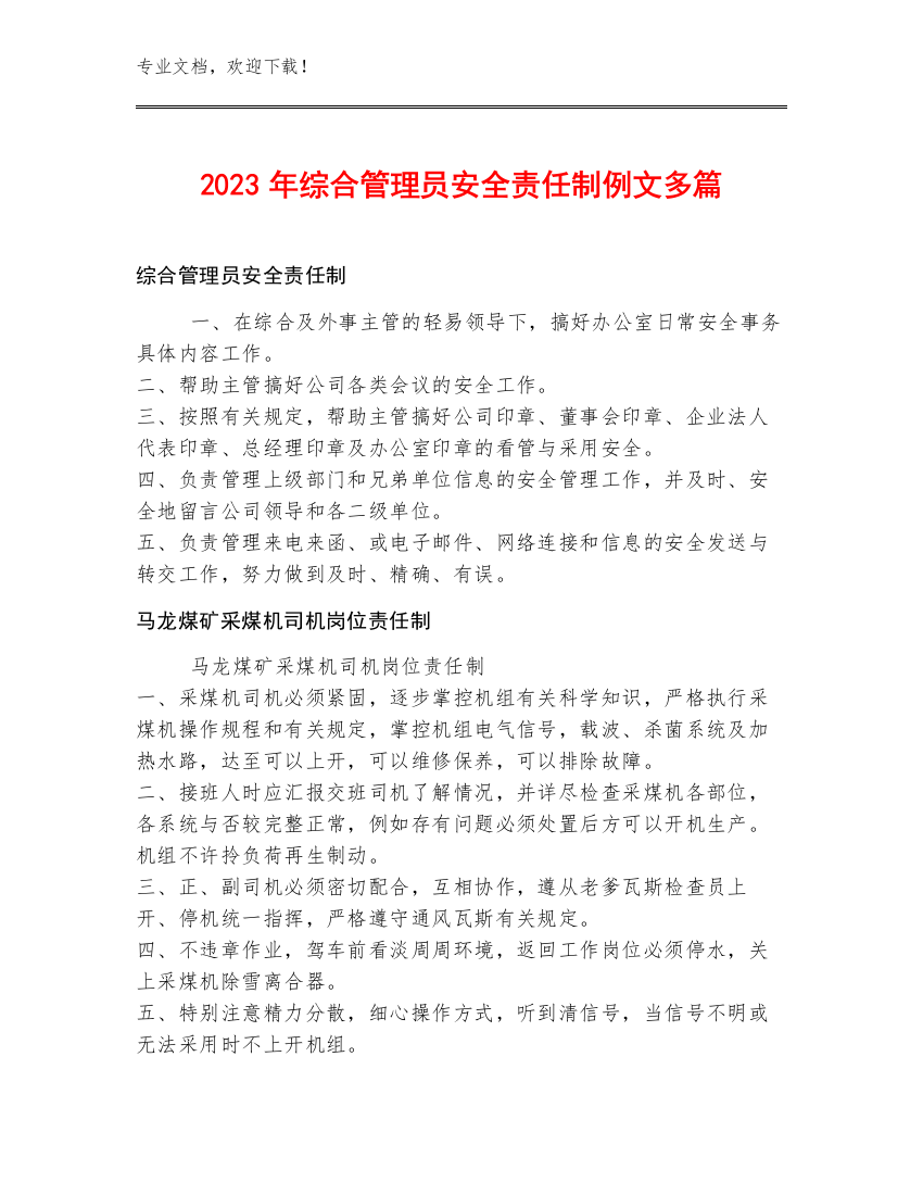 2023年综合管理员安全责任制例文多篇