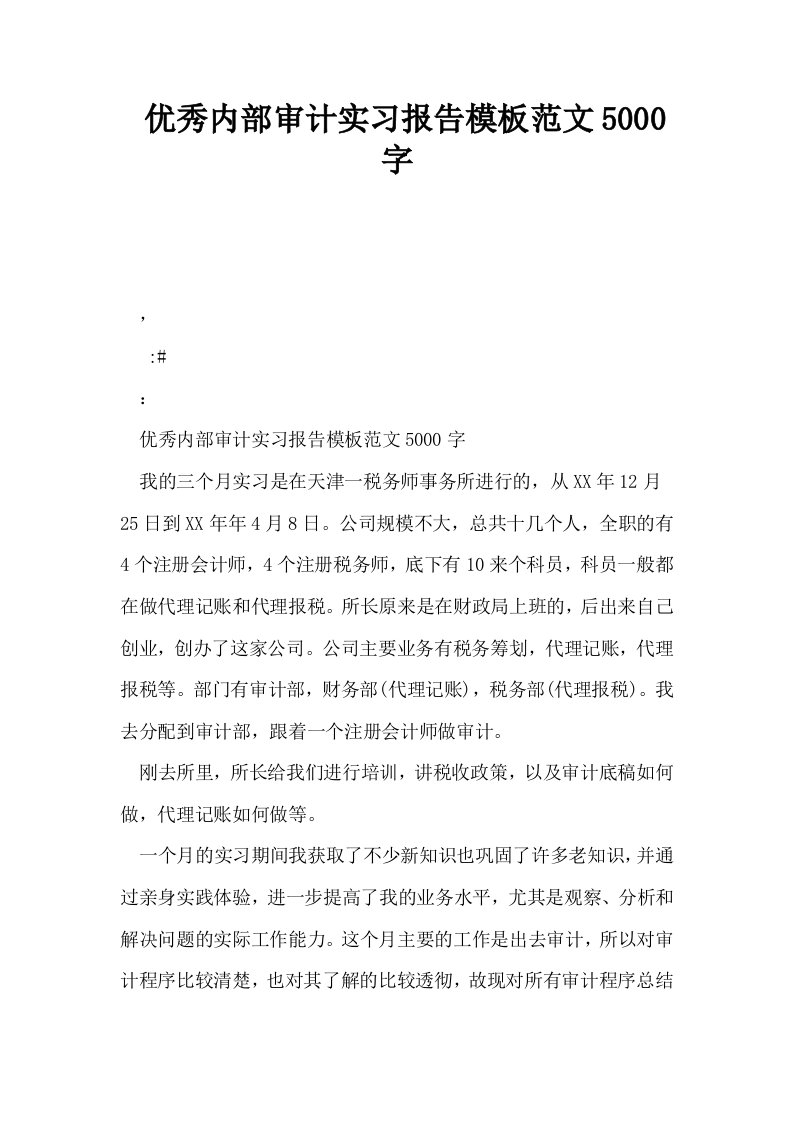 优秀内部审计实习报告模板范文5000字