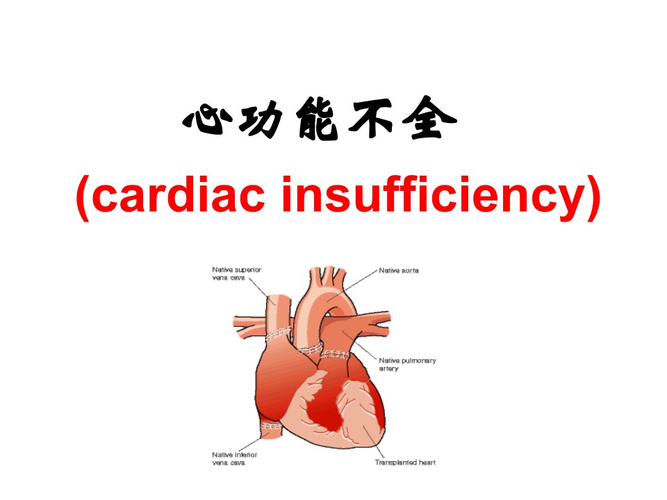 第十三章心功能不全