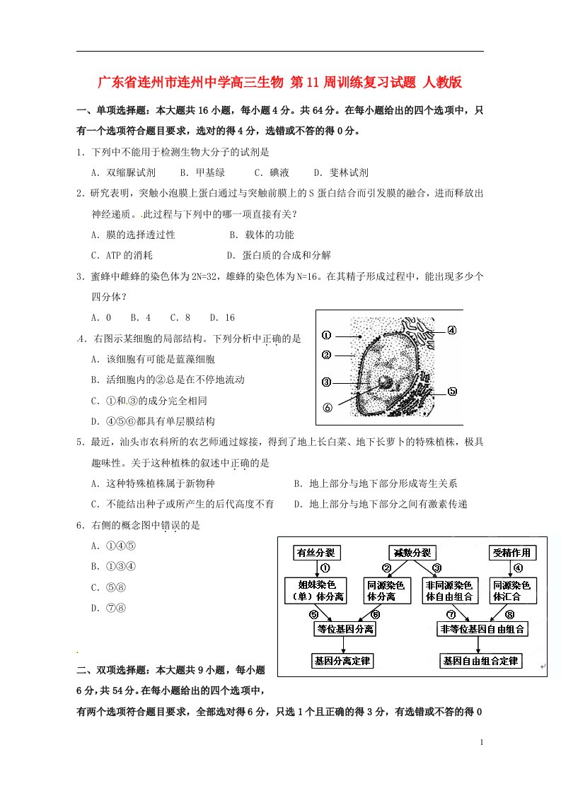 广东省连州市连州中学高三生物