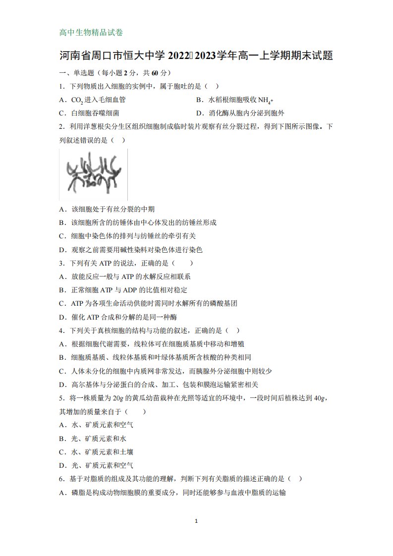 河南省周口市恒大中学2022-2023学年高一上学期期末生物试题(解析版)