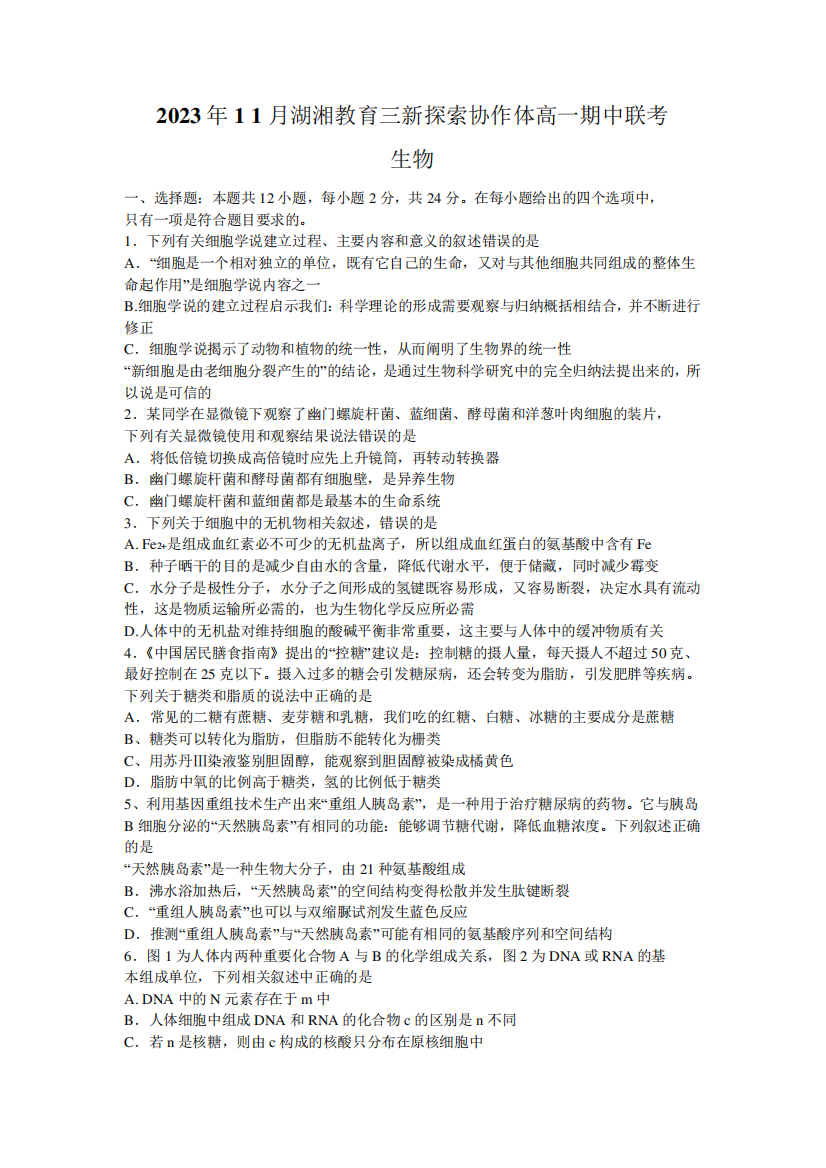 湖南省湖湘教育三新探索协作体2023-2024学年高一上学期期中联考精品3071