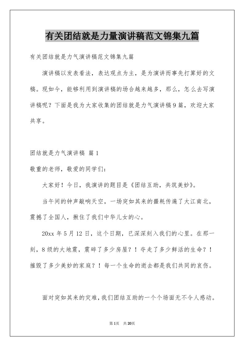 有关团结就是力量演讲稿范文锦集九篇