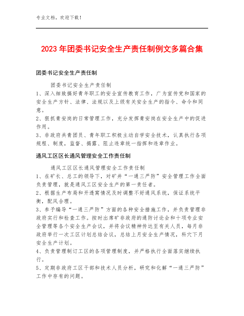 2023年团委书记安全生产责任制例文多篇合集