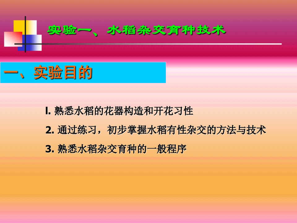 实验一、水稻杂交育种技术