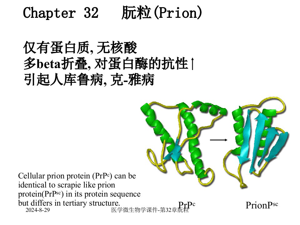 医学微生物学课件第32章朊粒课件