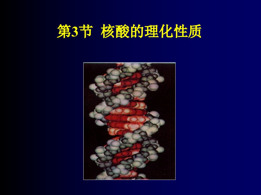 南京农业大学生物化学6ppt课件