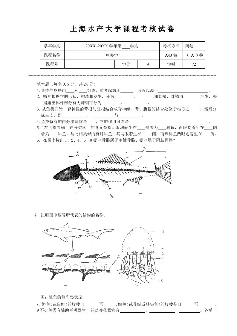 绩效考核-上海水产大学课程考核试卷纸