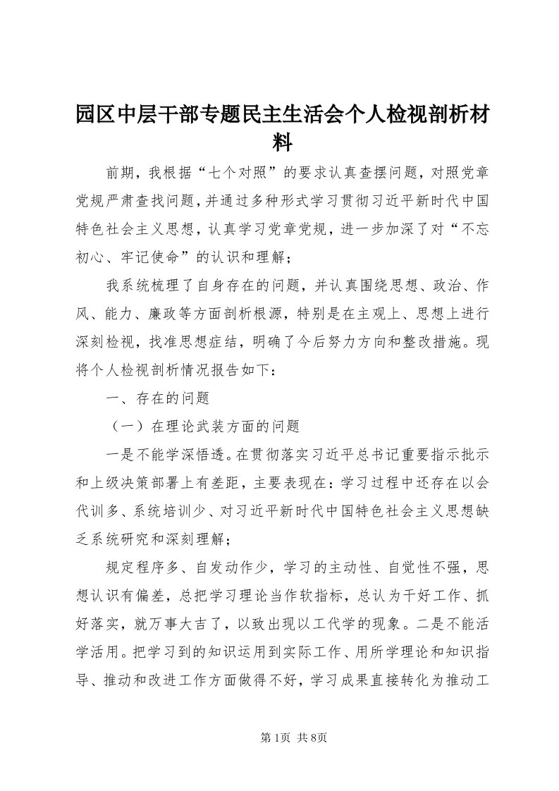 7园区中层干部专题民主生活会个人检视剖析材料