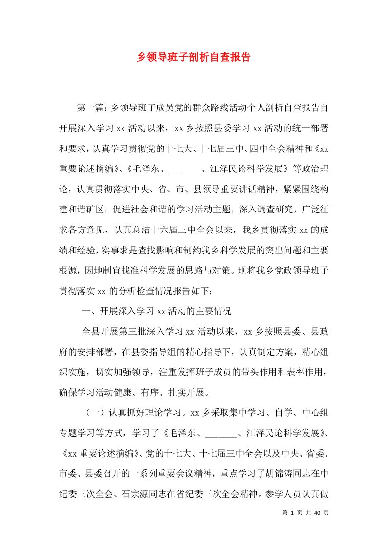 乡领导班子剖析自查报告（三）