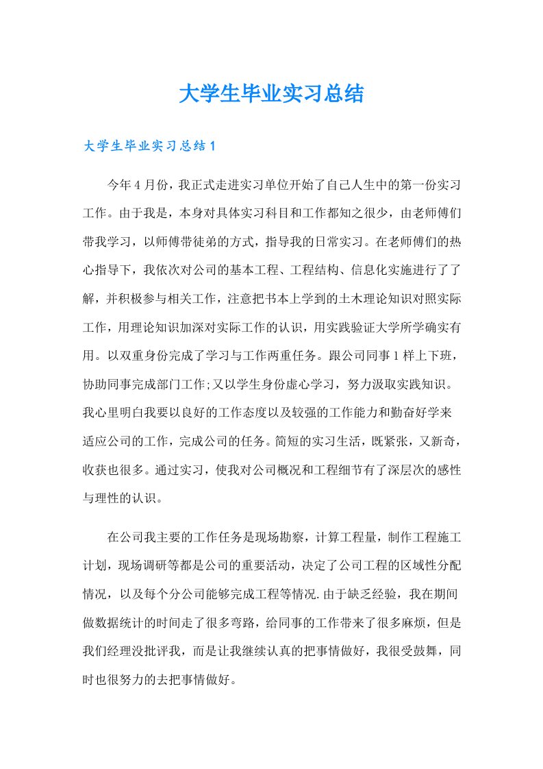 大学生毕业实习总结