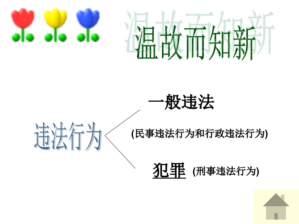 法律雷池不可越1PPT课件