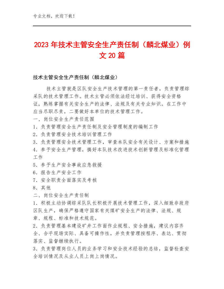 2023年技术主管安全生产责任制（麟北煤业）例文20篇