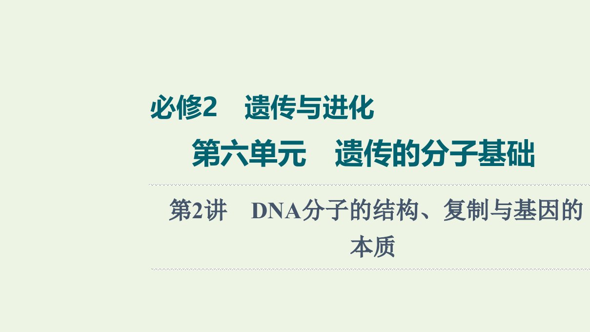 2022版高考生物一轮复习第6单元遗传的分子基础第2讲DNA分子的结构复制与基因的本质课件