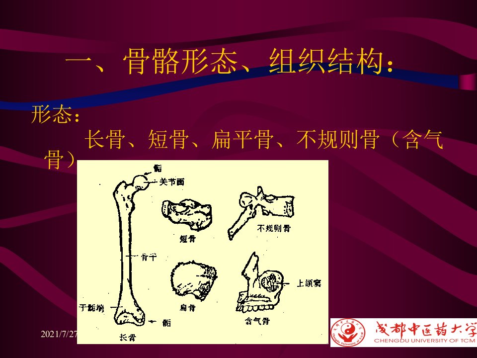 齐鲁医学化脓性骨性髓炎1