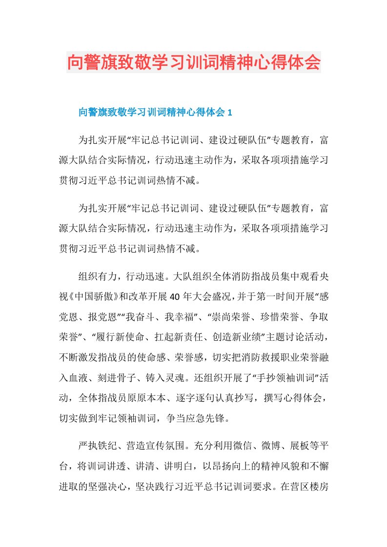 向警旗致敬学习训词精神心得体会