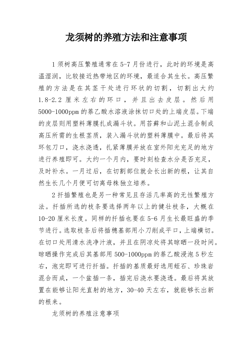 龙须树的养殖方法和注意事项