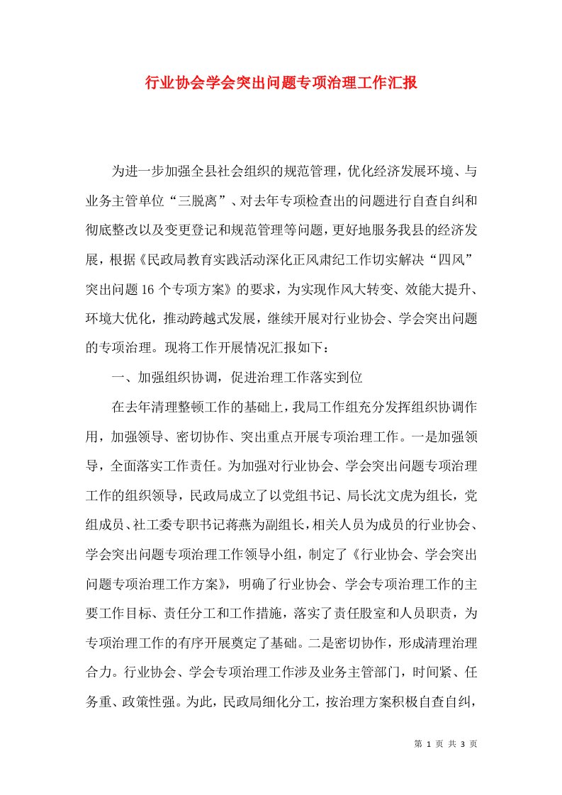 行业协会学会突出问题专项治理工作汇报