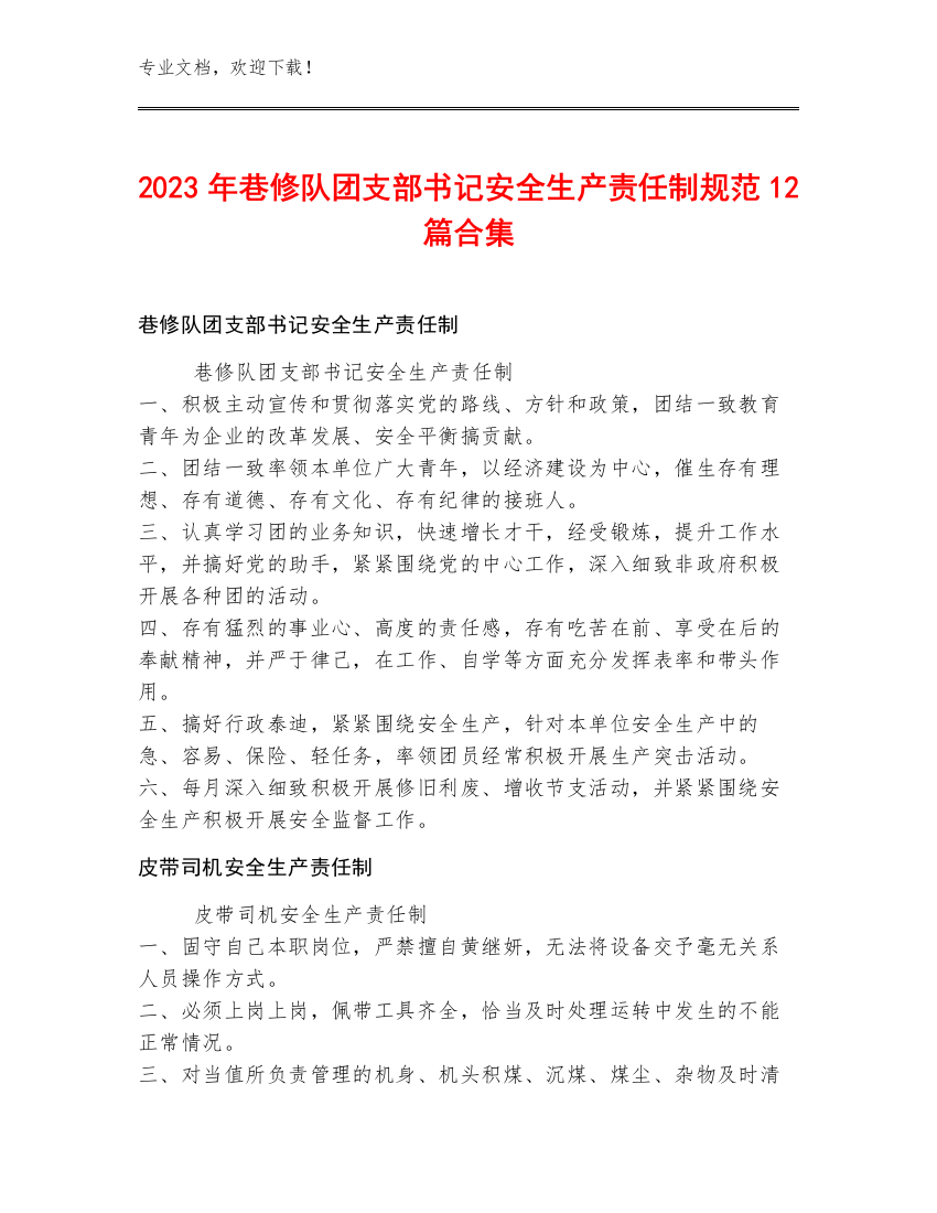 2023年巷修队团支部书记安全生产责任制规范12篇合集