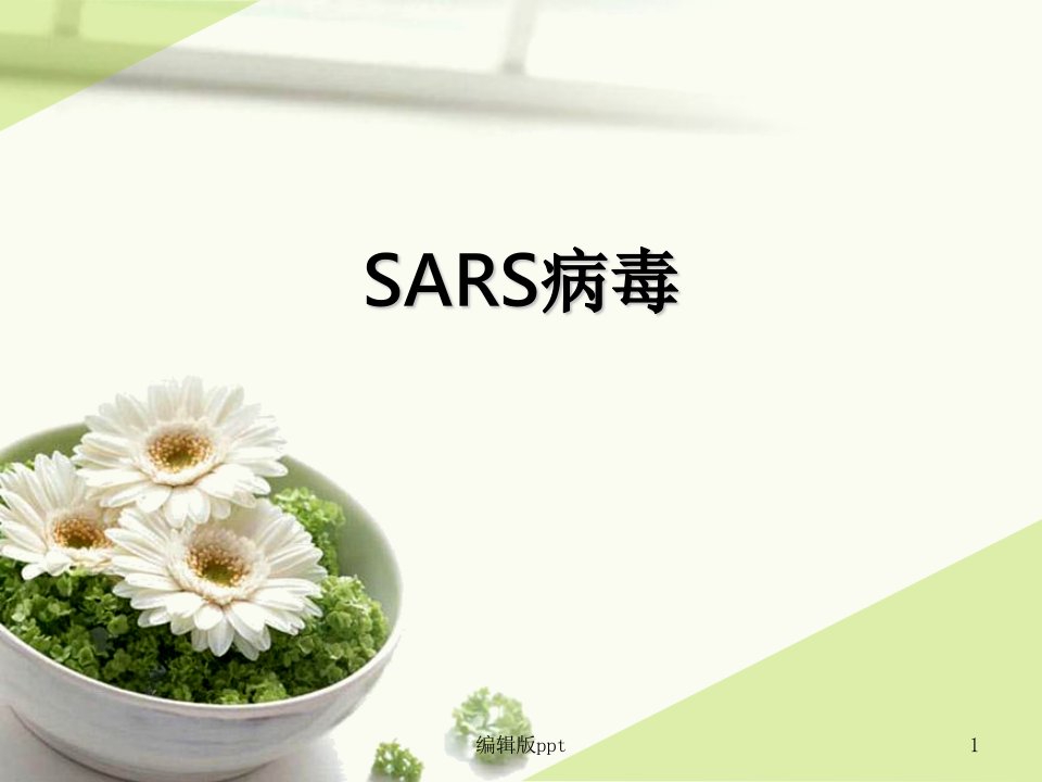 SARS病毒