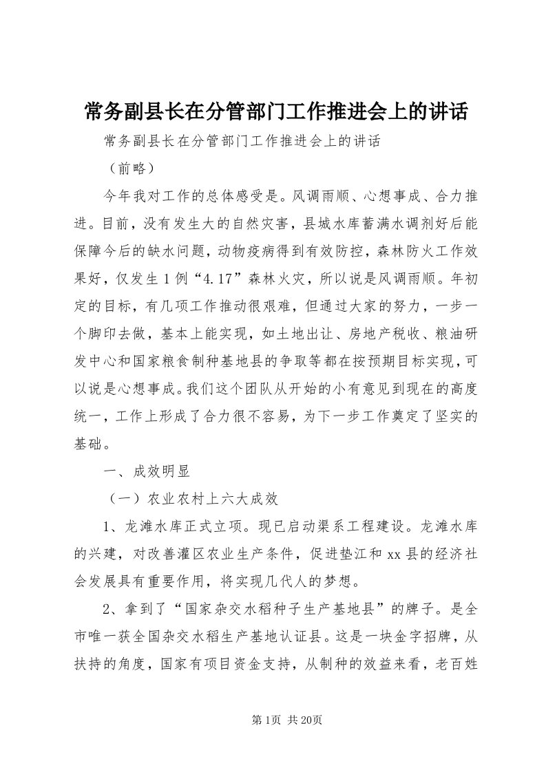 常务副县长在分管部门工作推进会上的致辞