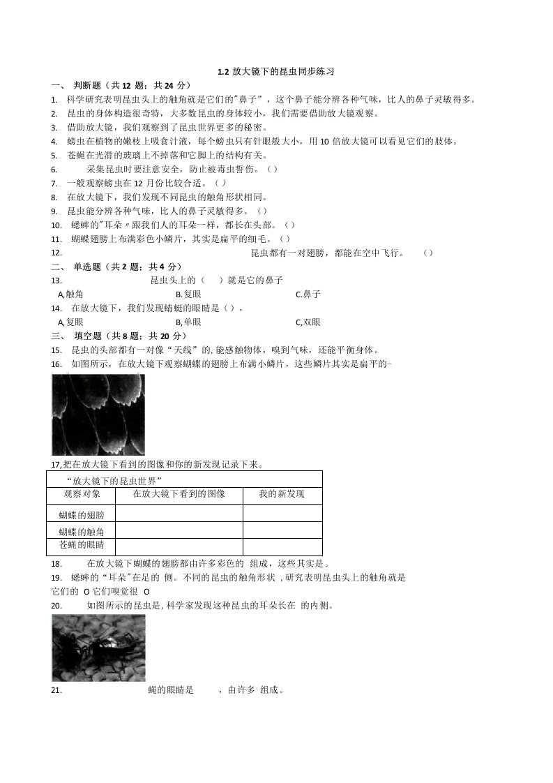 六年级下册科学试题