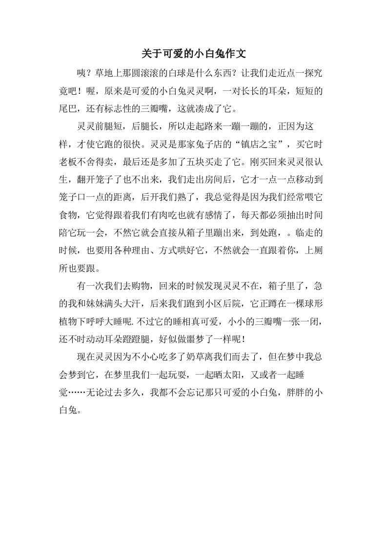 关于可爱的小白兔作文