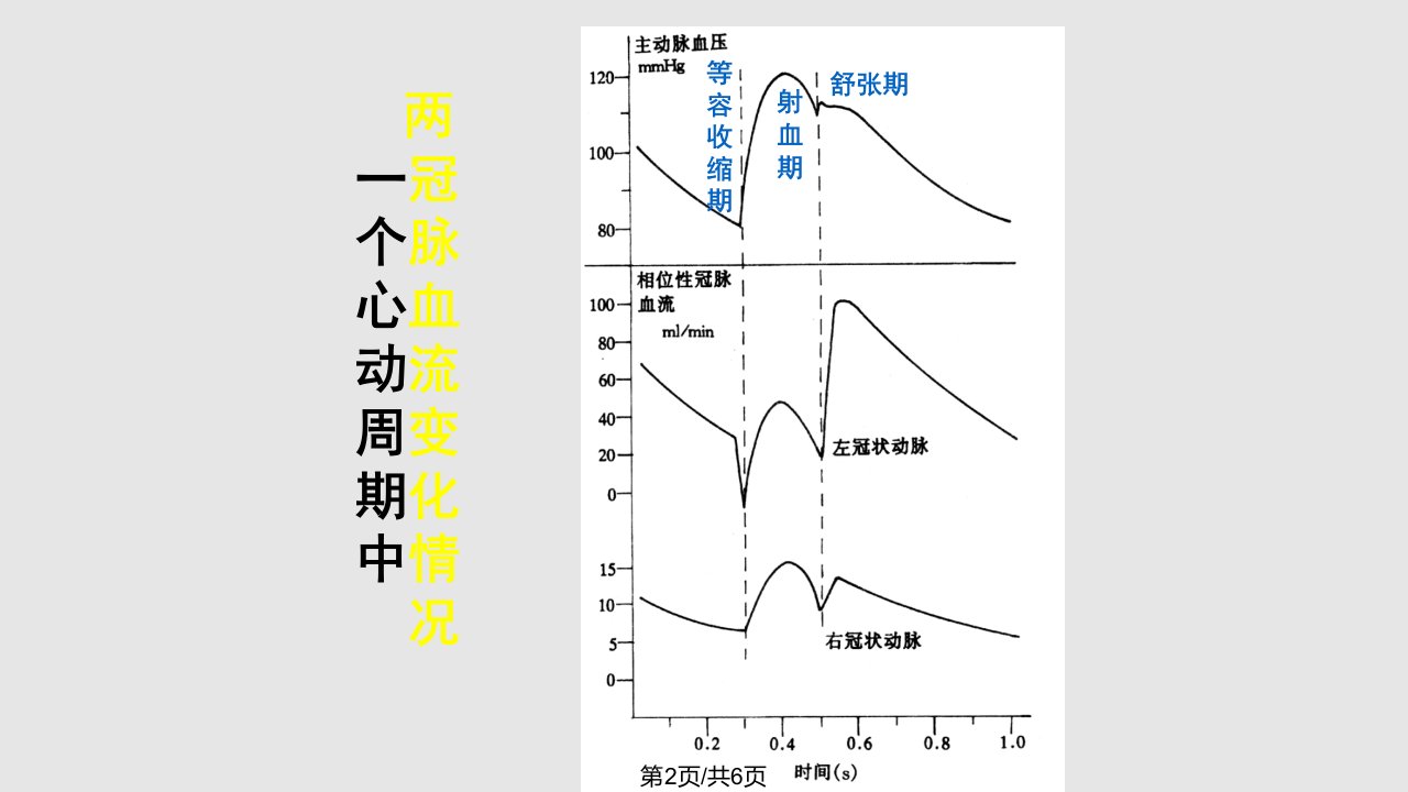 生理学循环器官循环