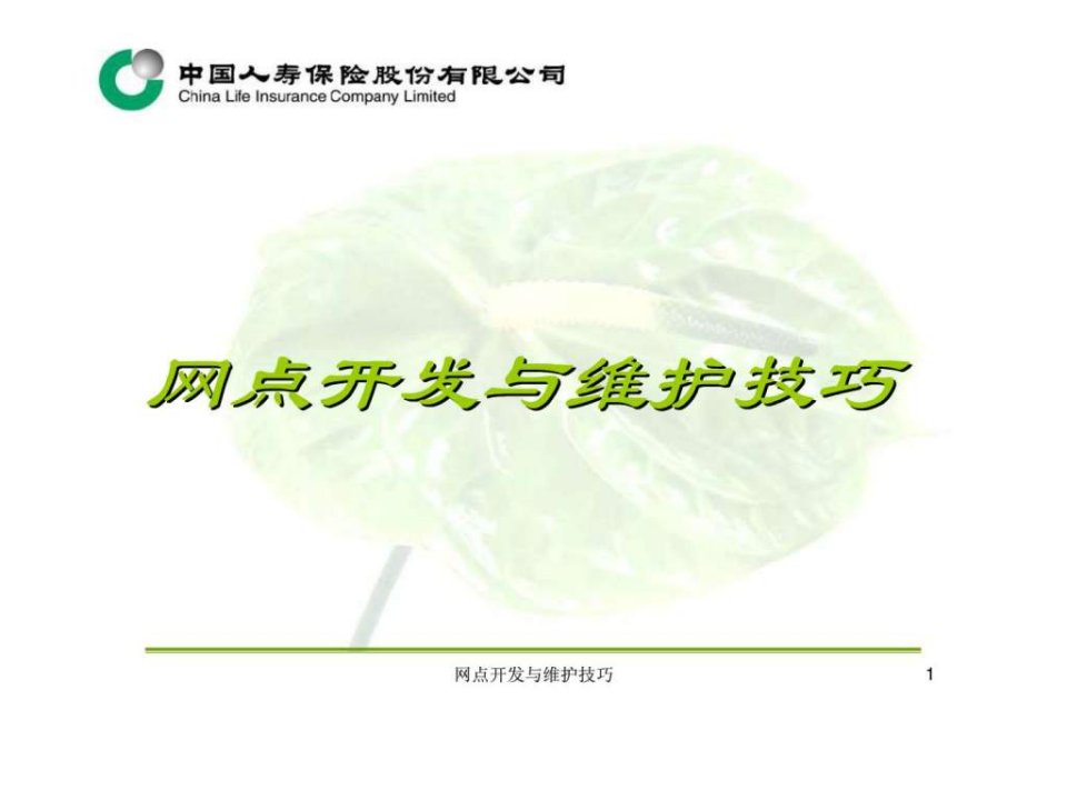 网点开发与维护技巧