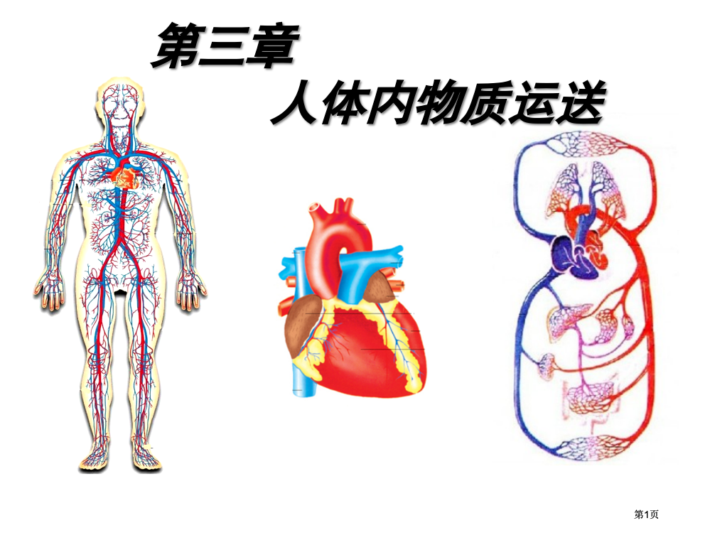 七级下册生物人体内的物质运输市公开课金奖市赛课一等奖课件