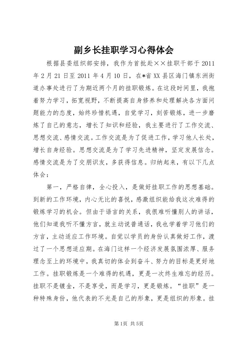 副乡长挂职学习心得体会